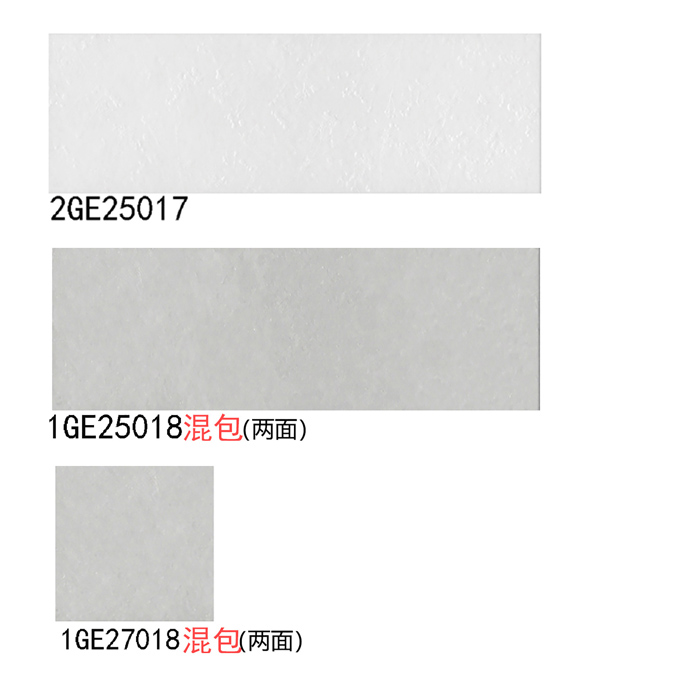 1GE25017