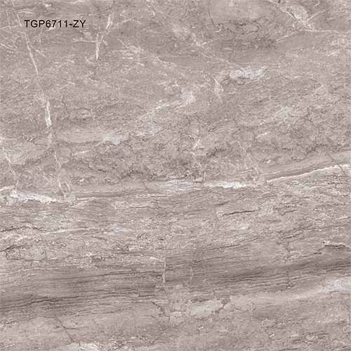 TGP6711-zy